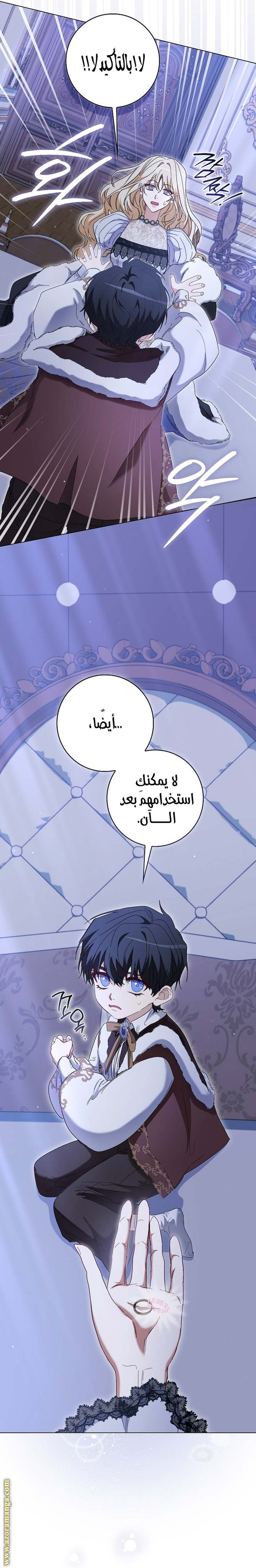 الصفحة 17