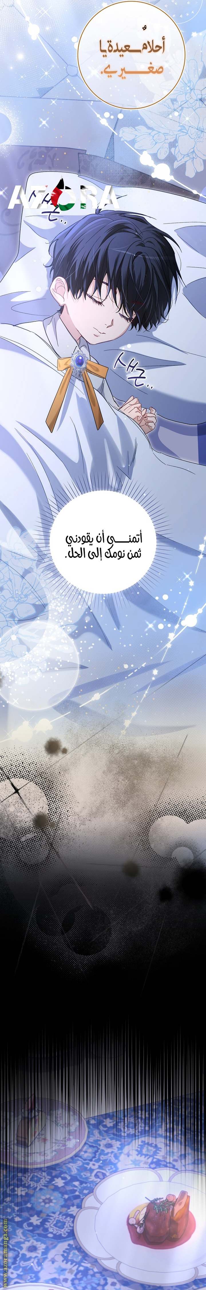 الصفحة 23