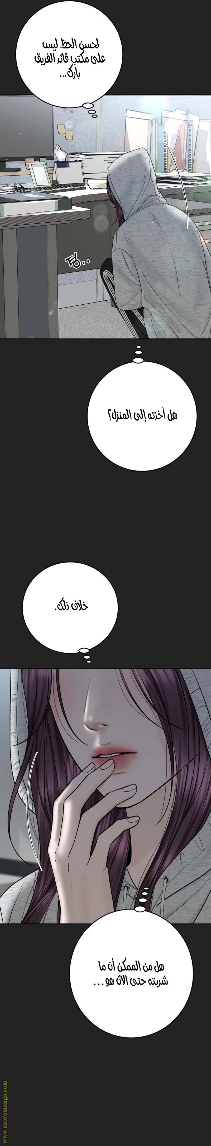 الصفحة 12