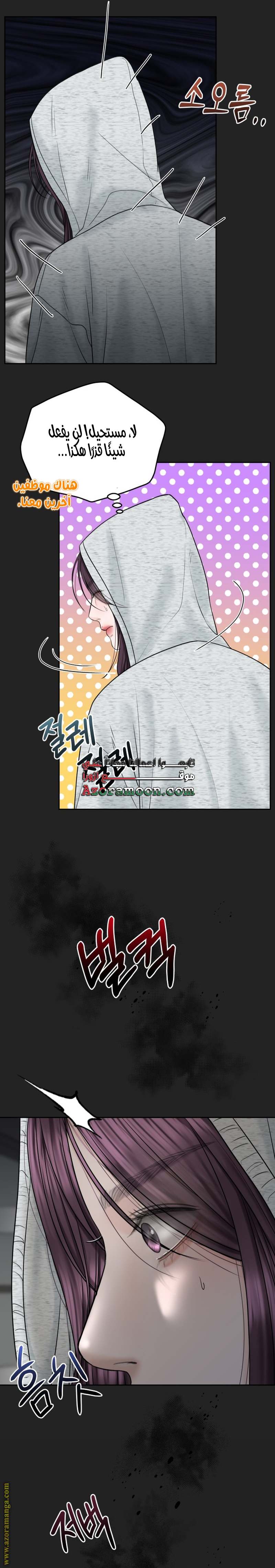 الصفحة 13