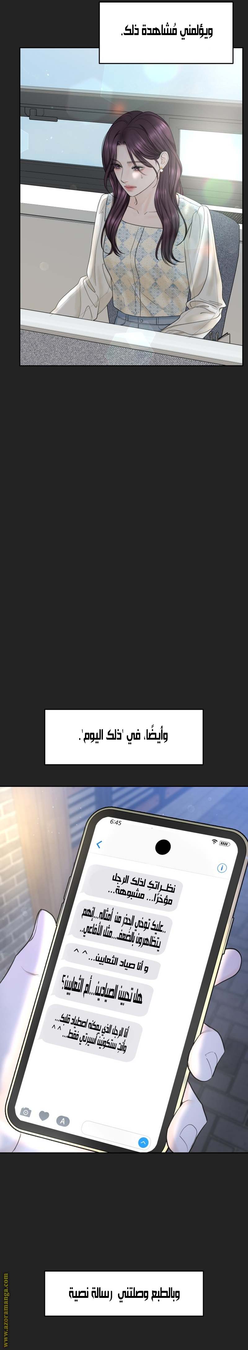 الصفحة 17