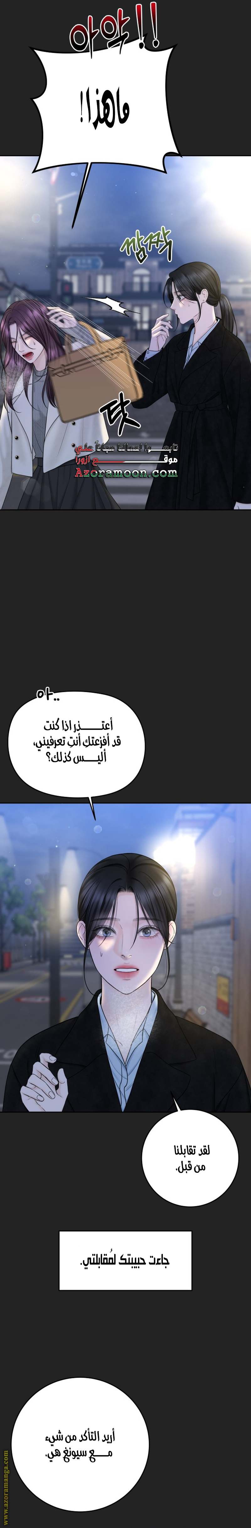 الصفحة 19