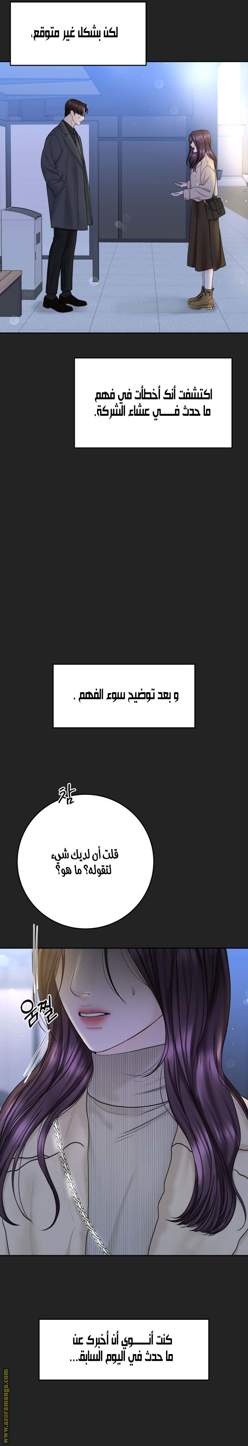 الصفحة 28