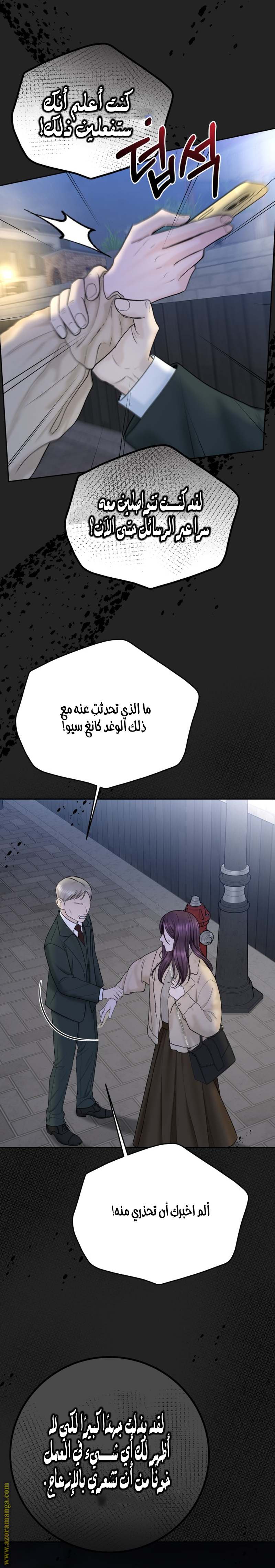 الصفحة 31