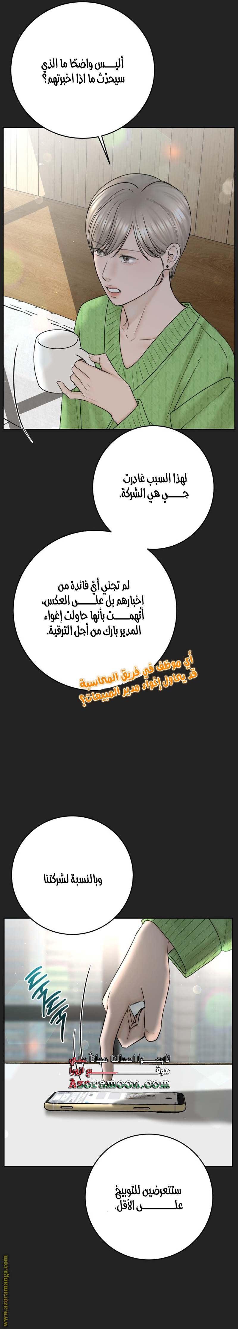 الصفحة 27
