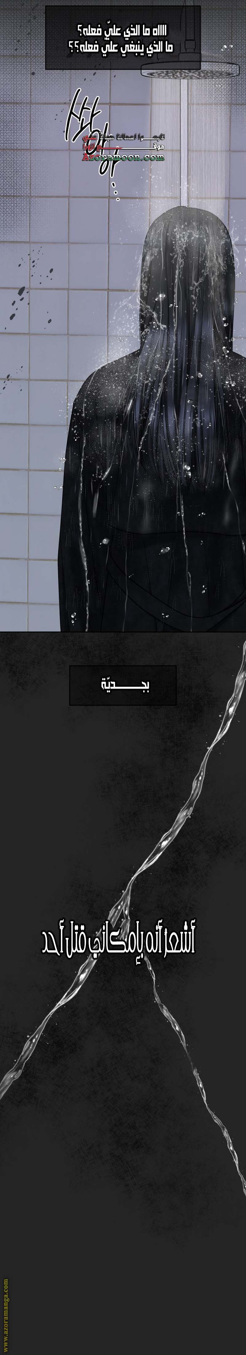 الصفحة 13