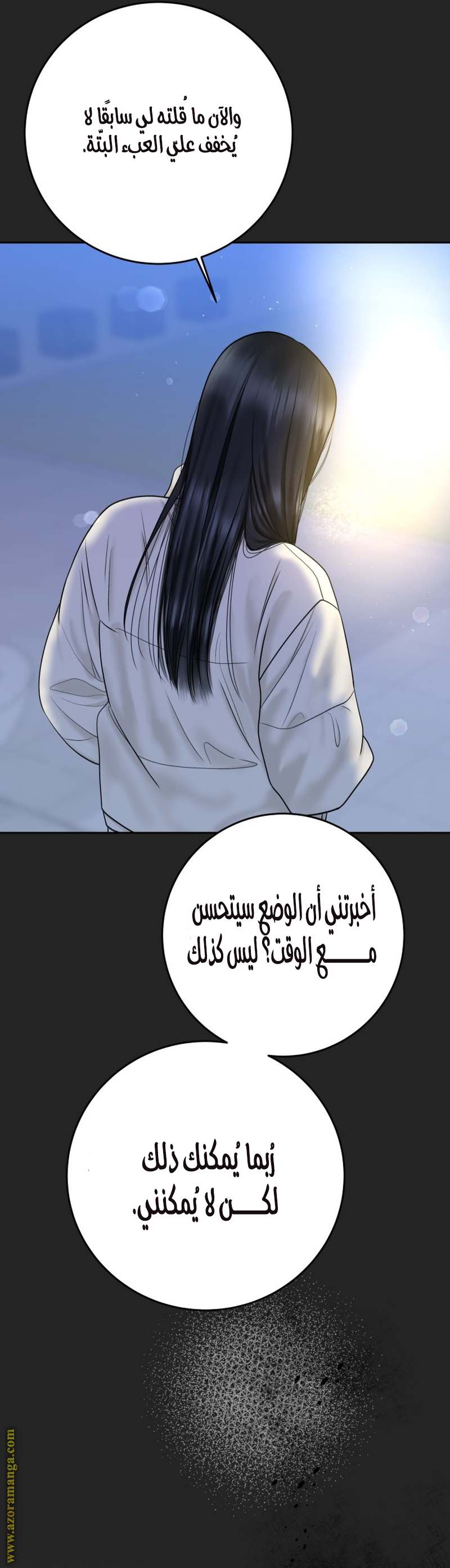 الصفحة 17