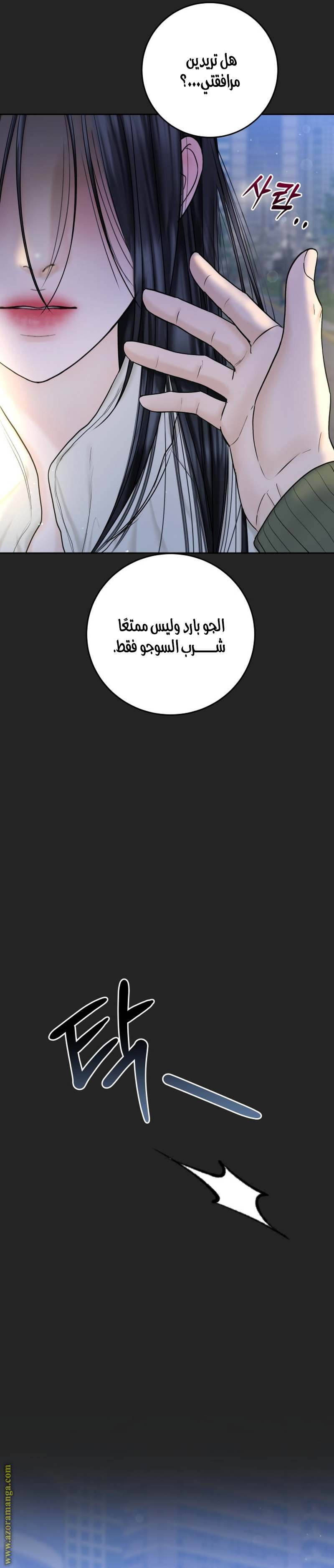 الصفحة 30