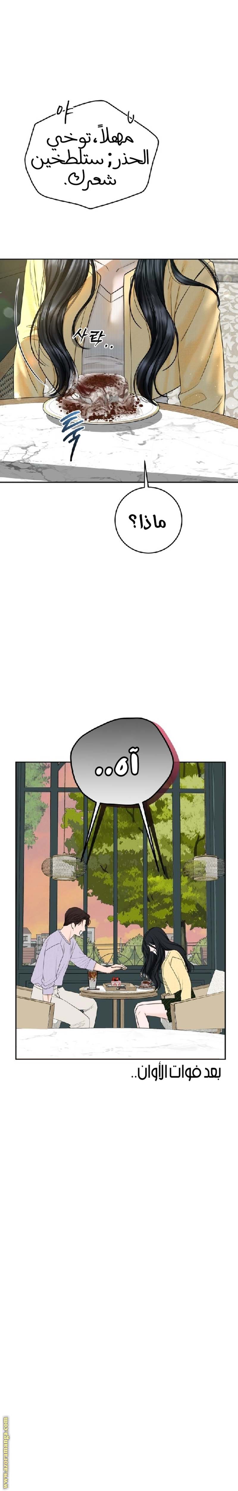 الصفحة 13