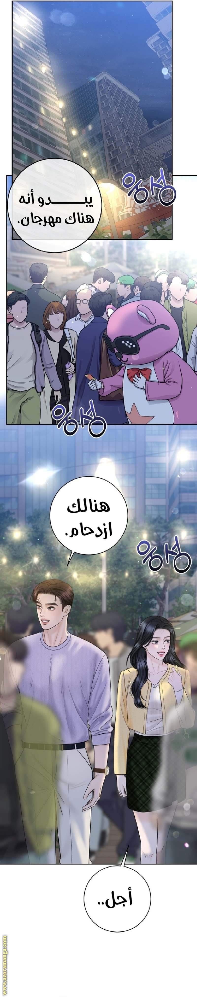 الصفحة 17