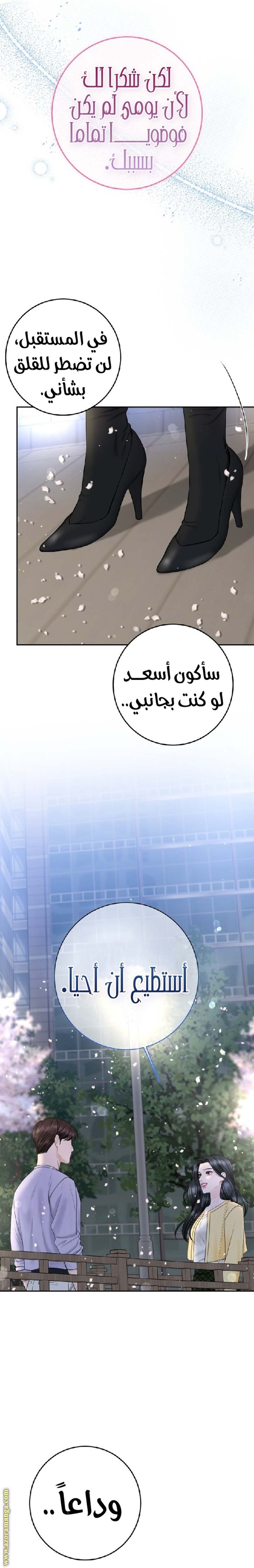 الصفحة 27