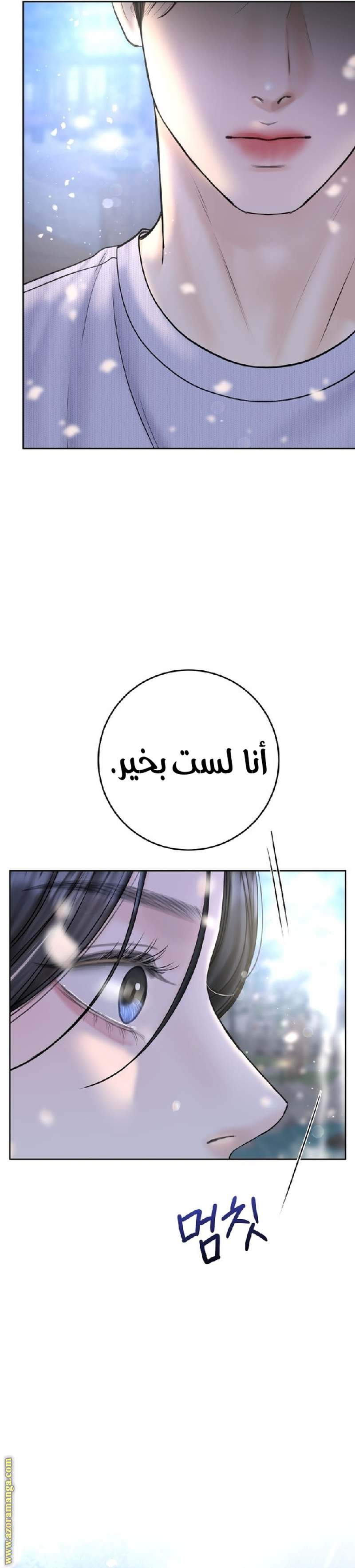 الصفحة 28