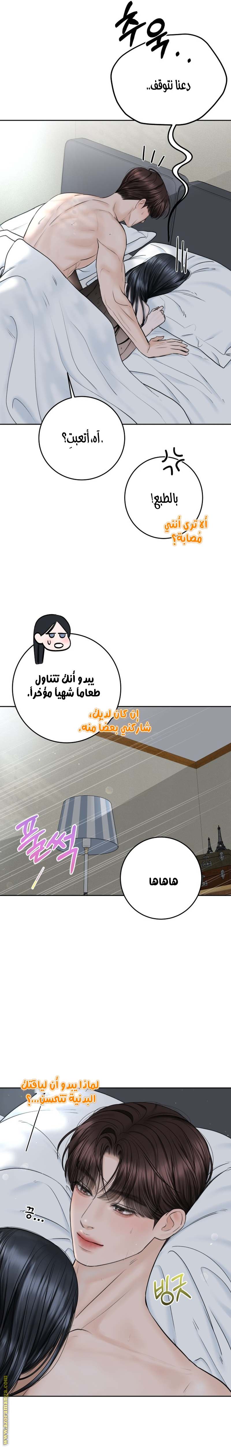 الصفحة 13