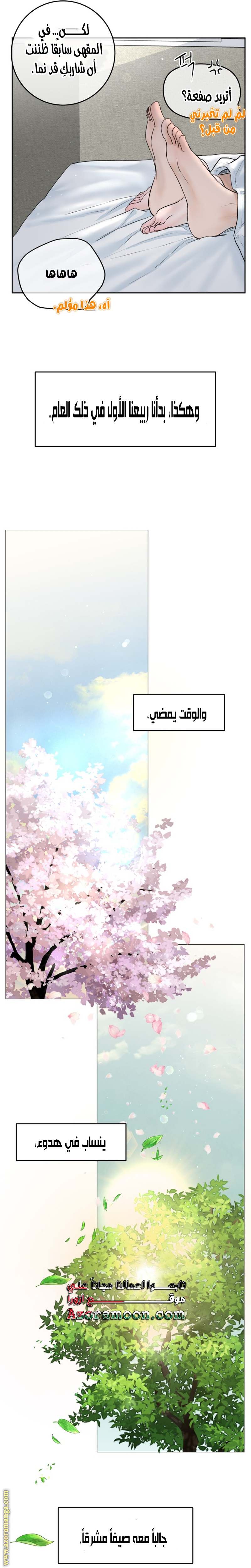 الصفحة 17
