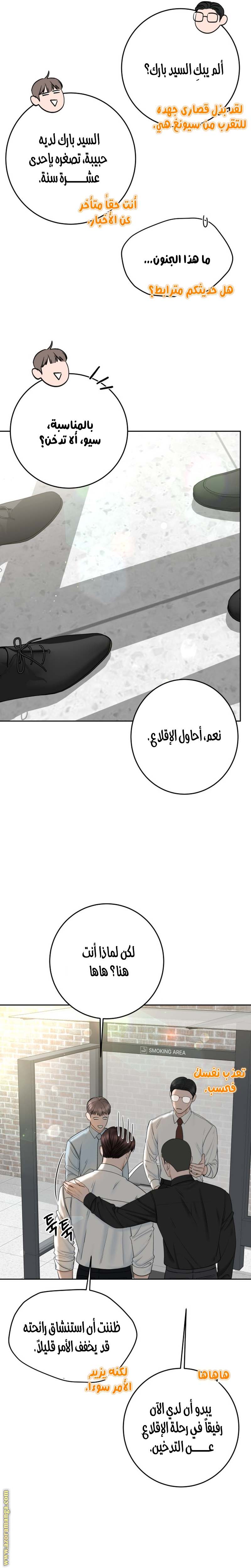 الصفحة 19