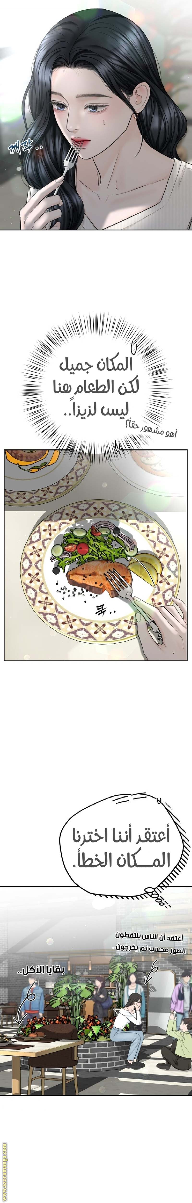 الصفحة 17