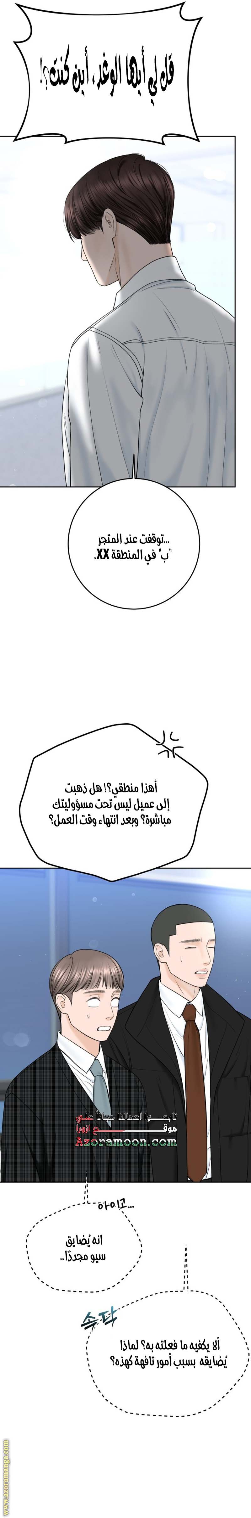 الصفحة 17