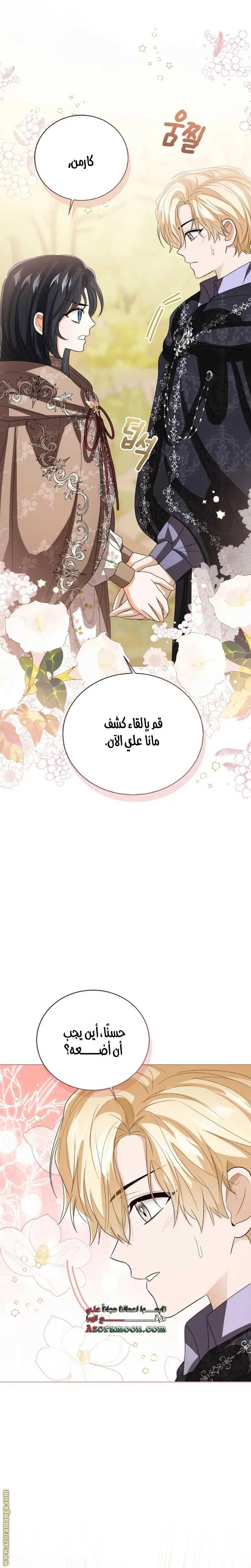 الصفحة 13