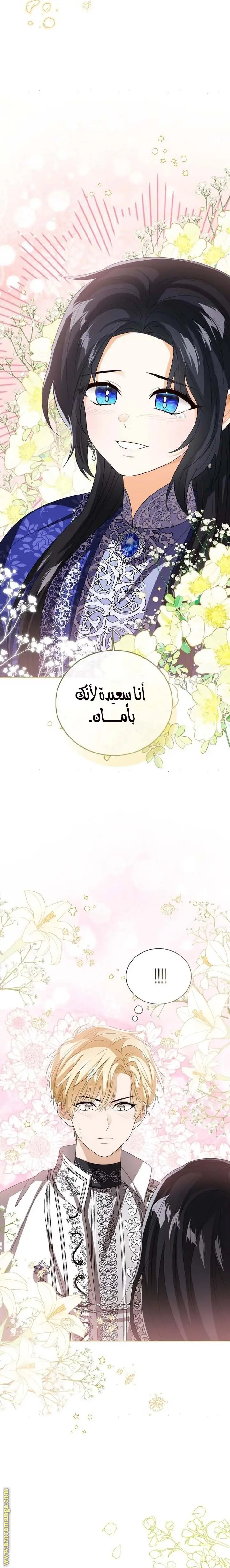 الصفحة 17