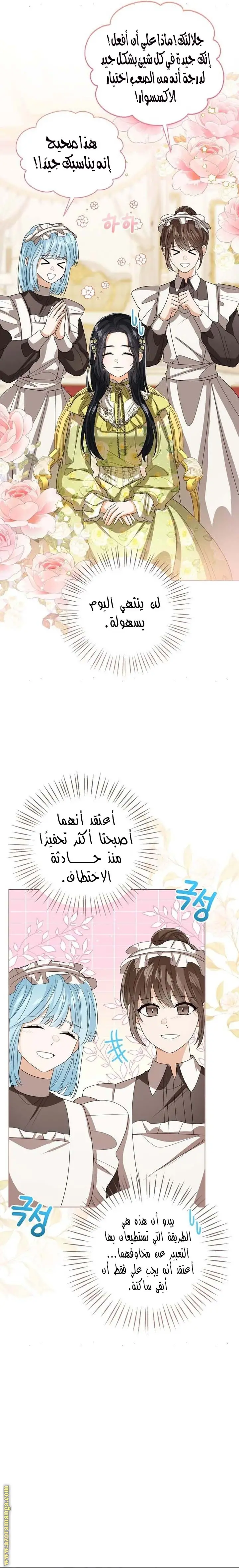 الصفحة 25