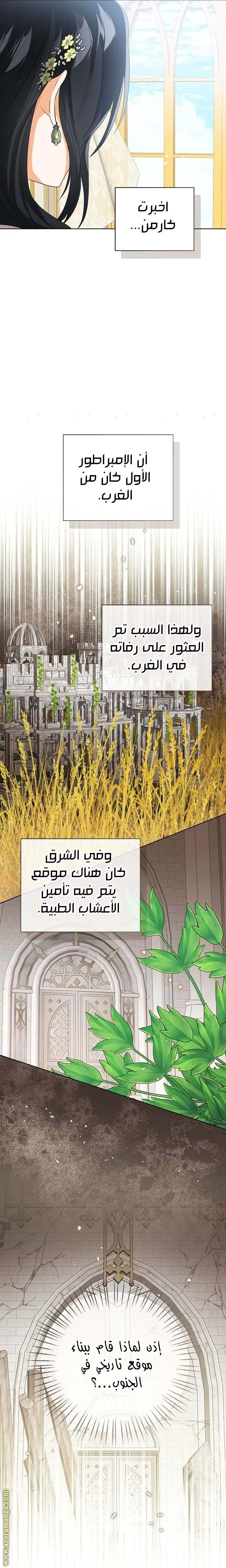 الصفحة 26