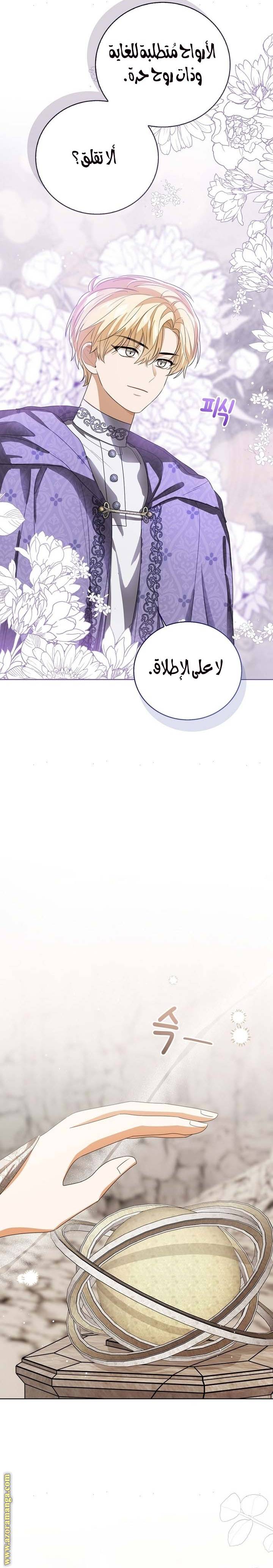 الصفحة 25