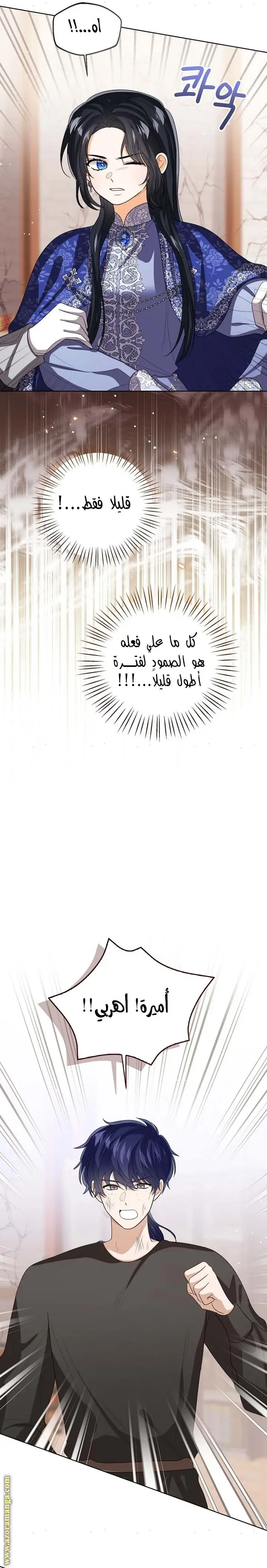 الصفحة 12
