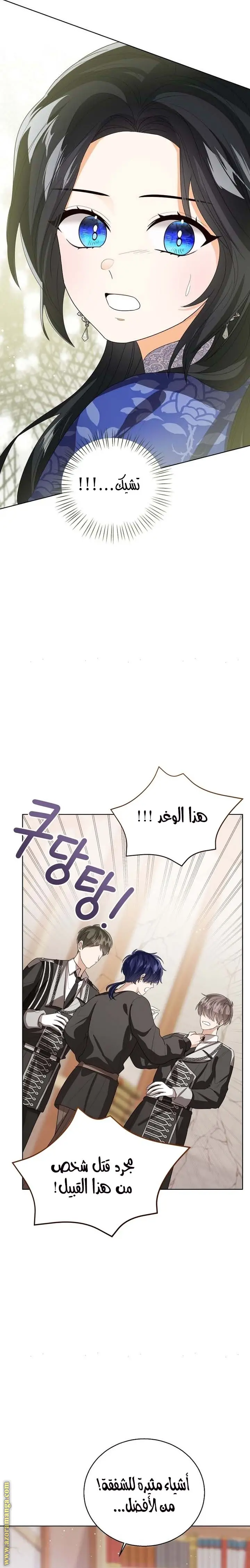 الصفحة 13