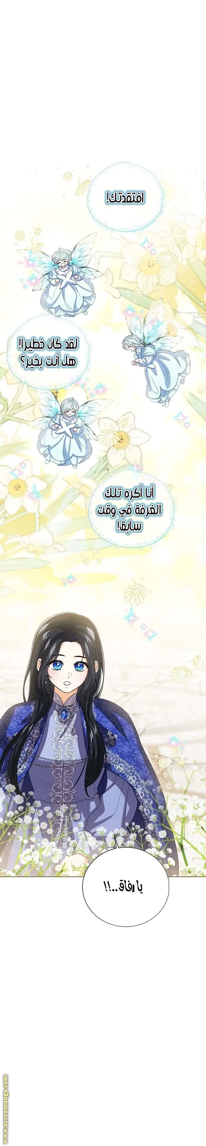 الصفحة 17