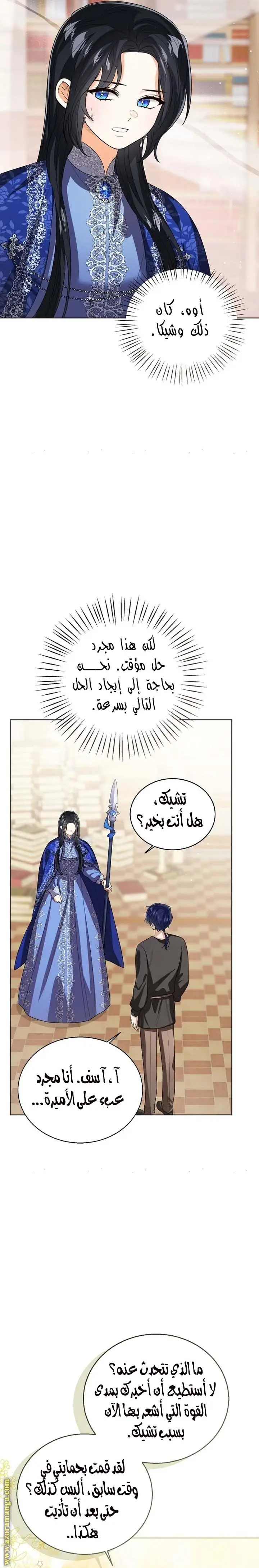 الصفحة 25
