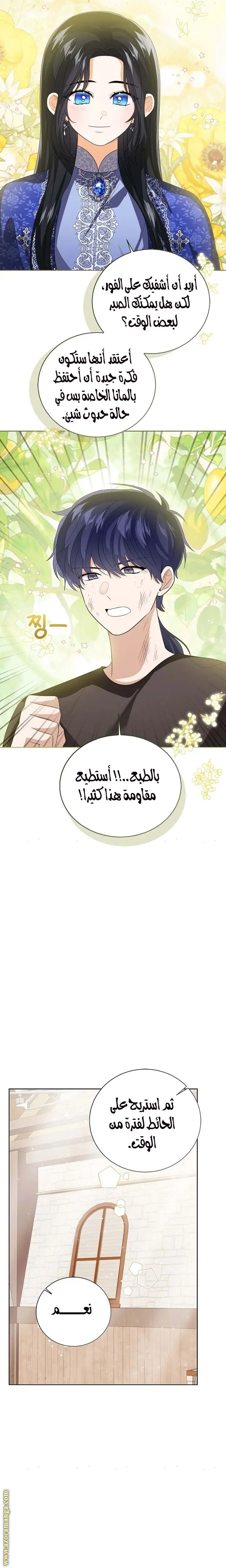 الصفحة 26