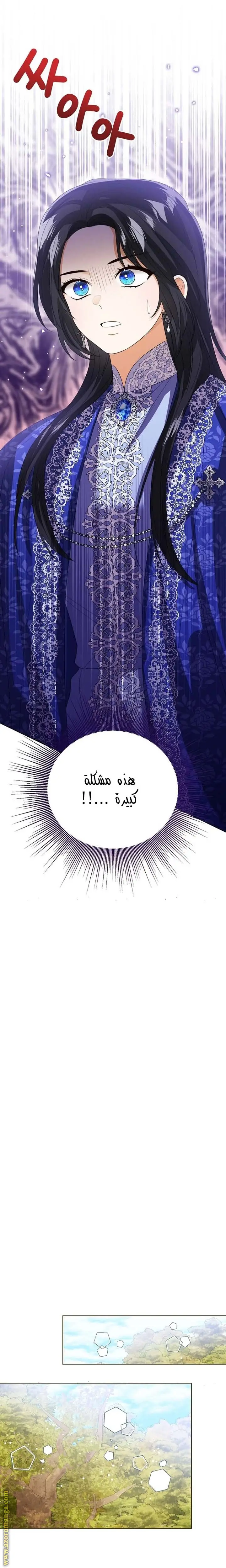 الصفحة 21