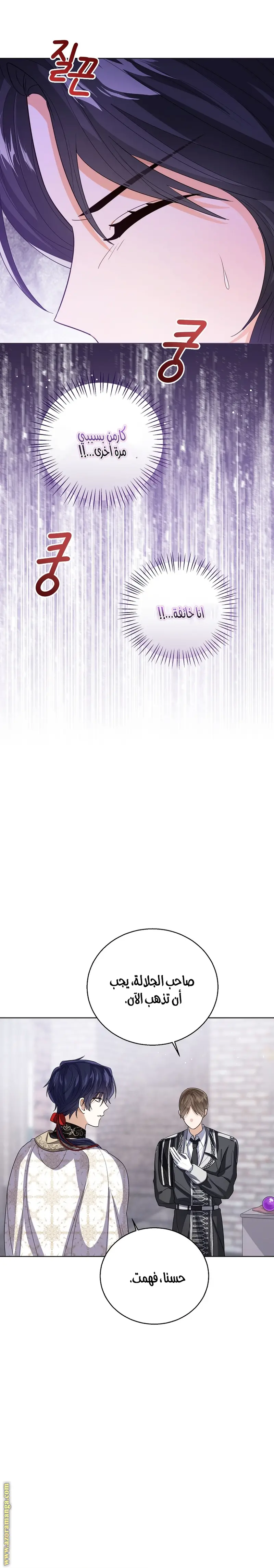 الصفحة 26
