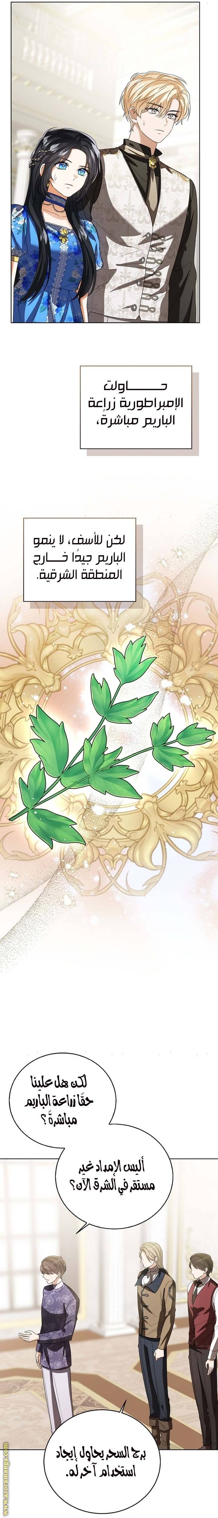 الصفحة 12