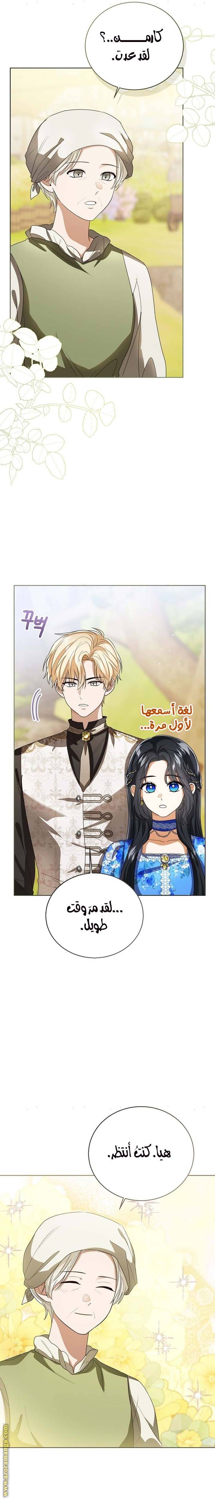 الصفحة 19