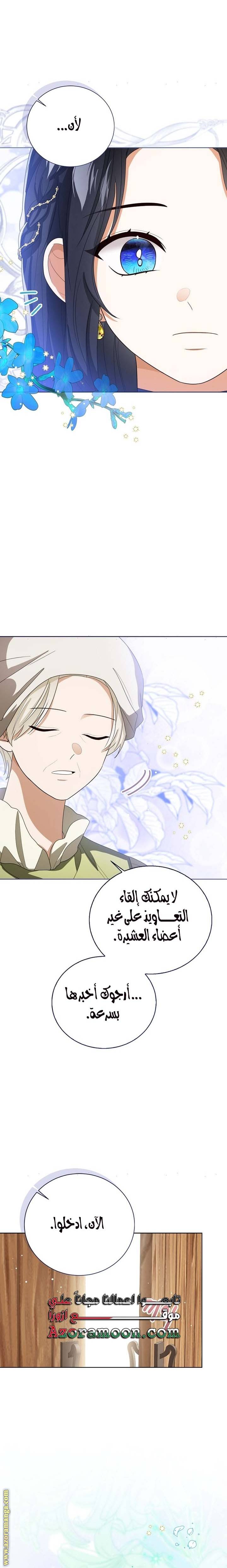 الصفحة 25