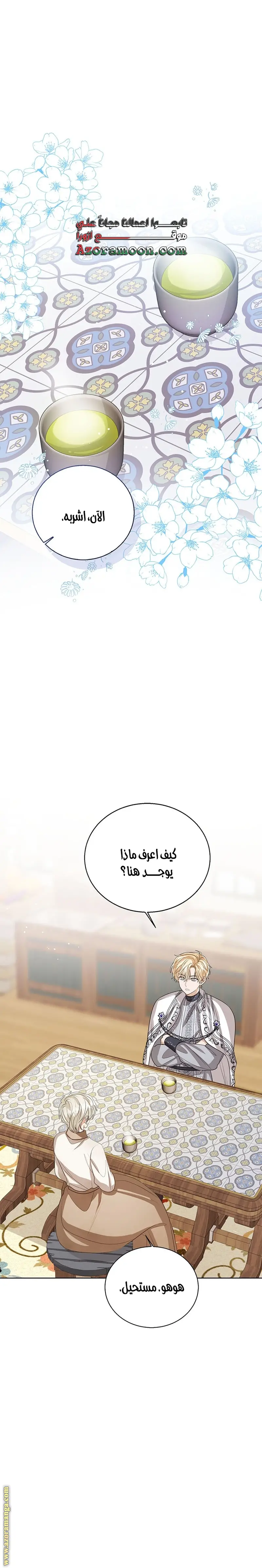 الصفحة 17