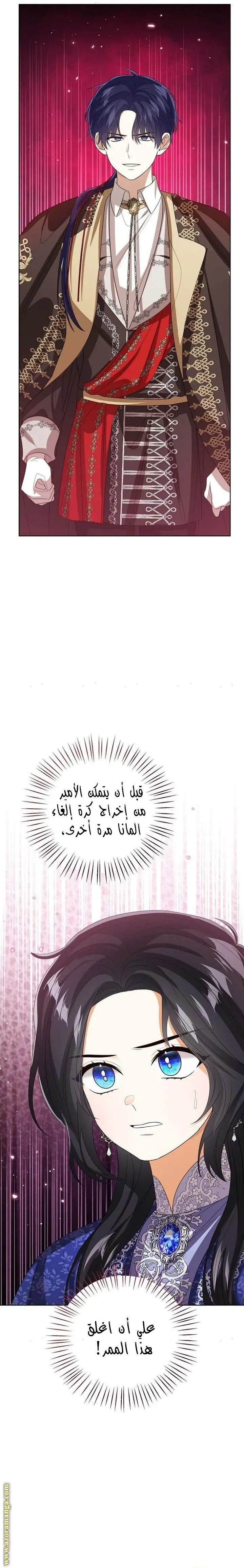 الصفحة 17