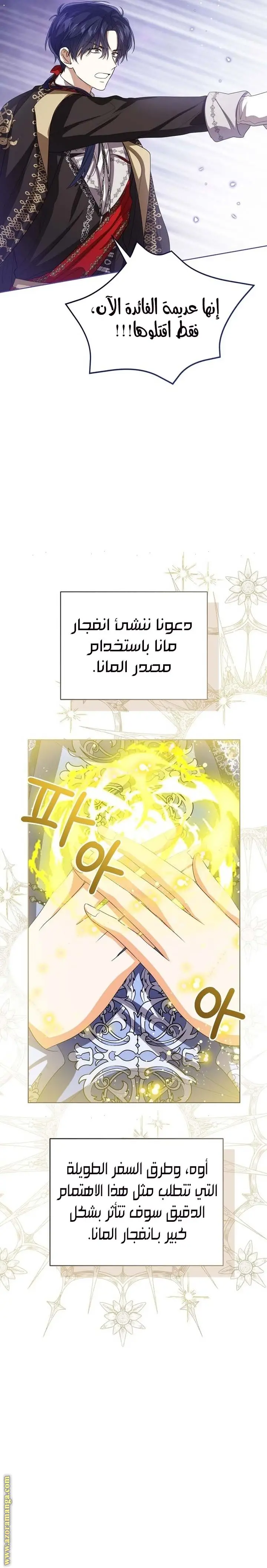 الصفحة 19