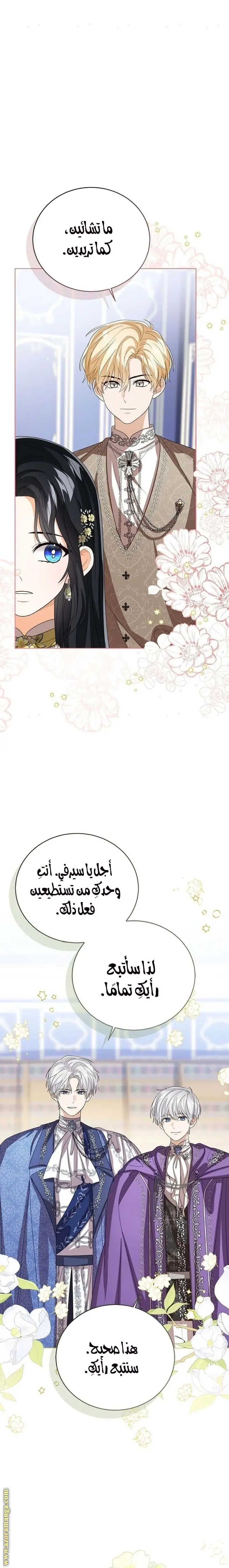 الصفحة 17