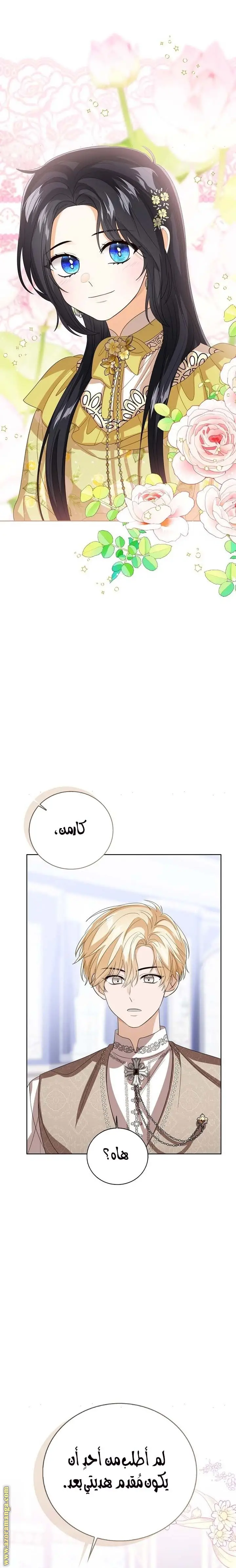 الصفحة 27