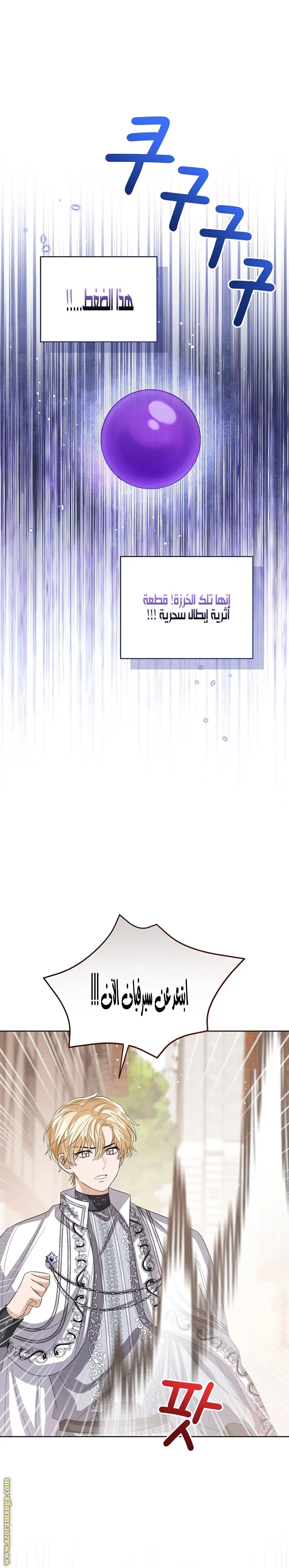 الصفحة 29