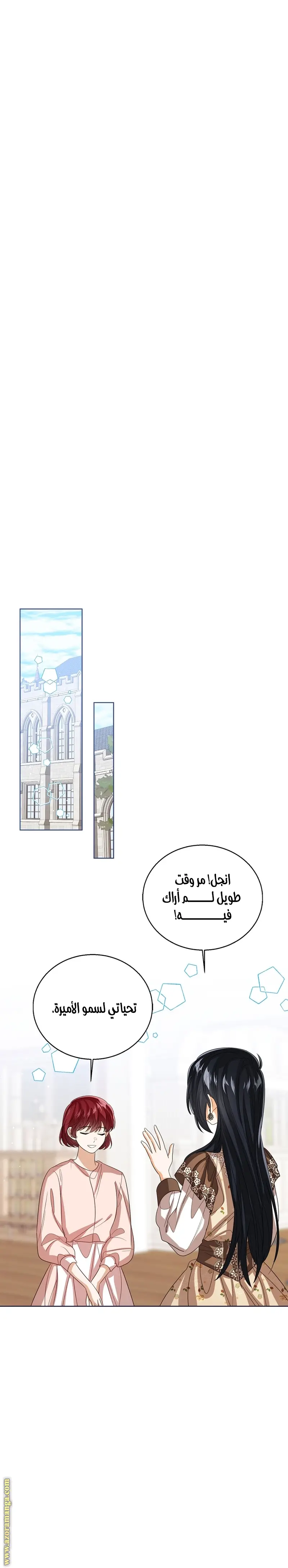 الصفحة 17