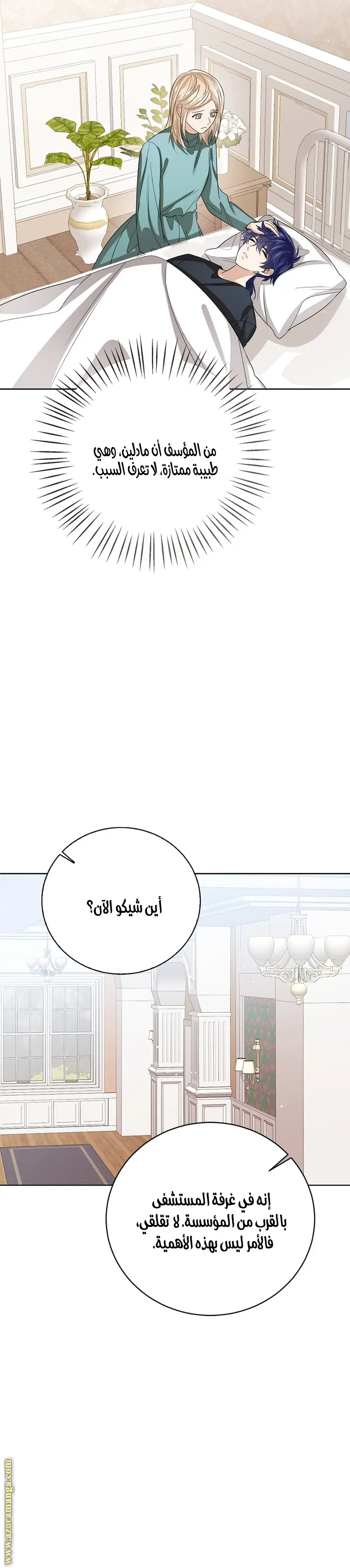 الصفحة 29