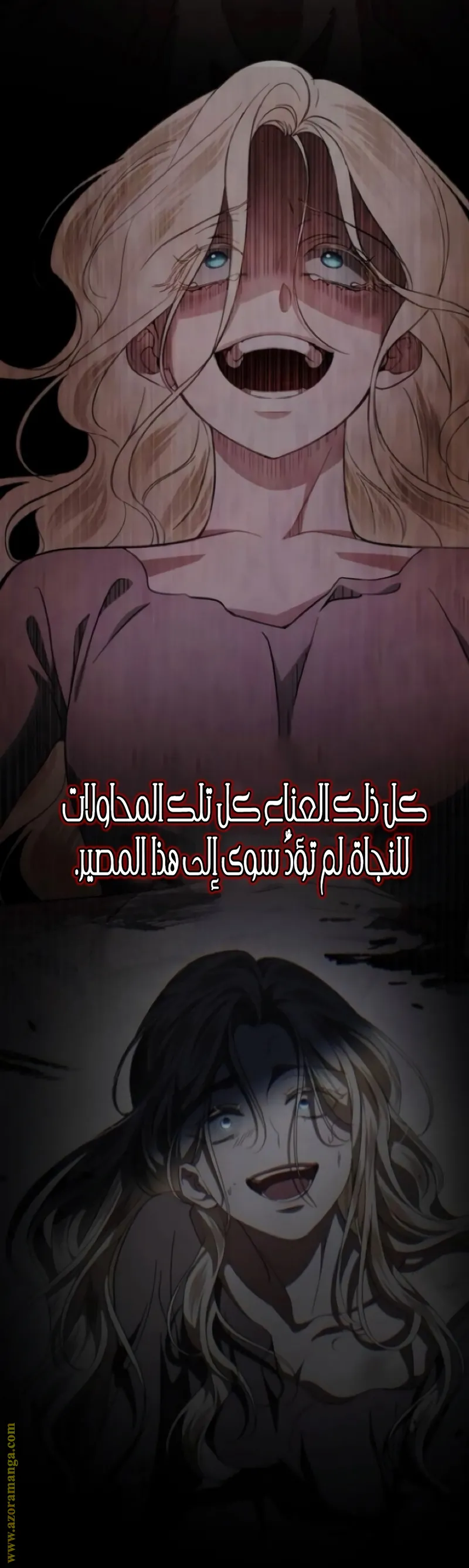 الصفحة 13