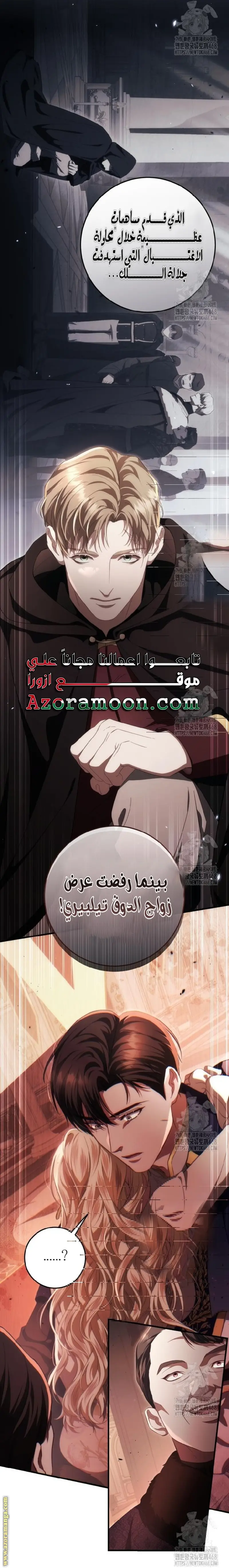 الصفحة 25