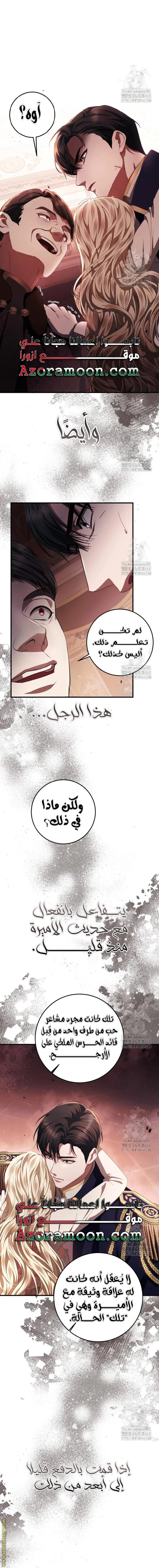 الصفحة 26