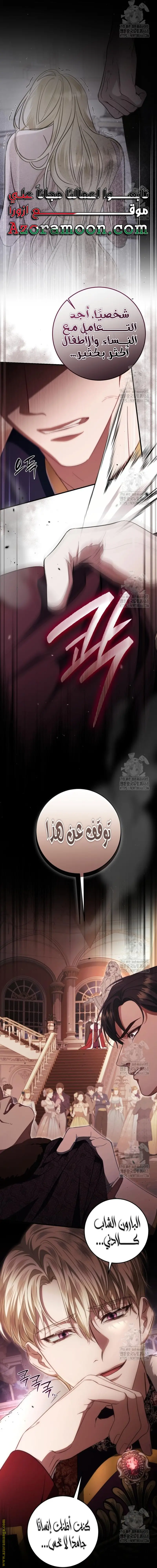 الصفحة 29