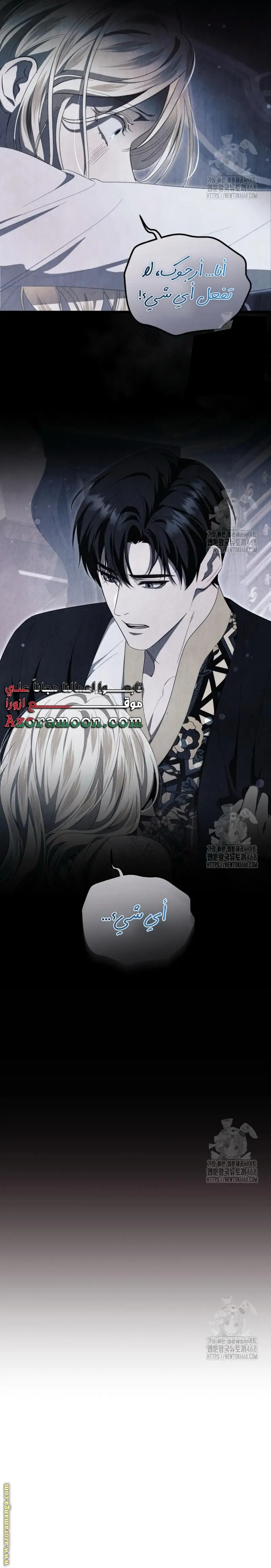 الصفحة 17