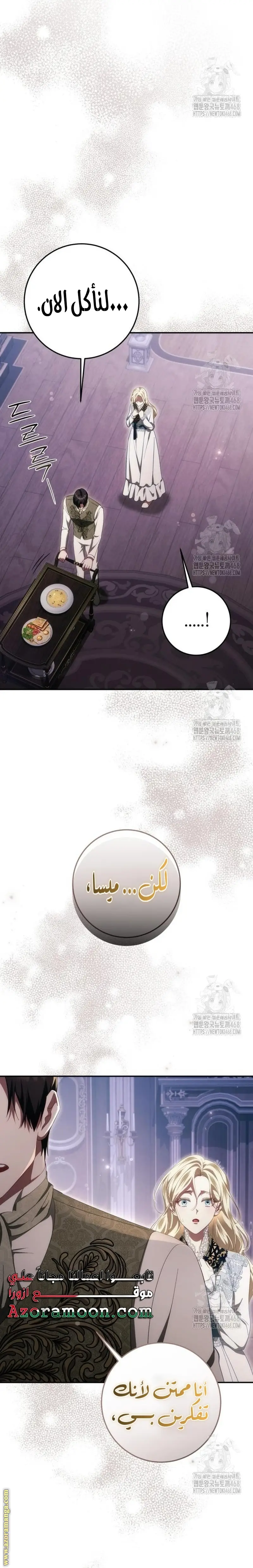 الصفحة 19